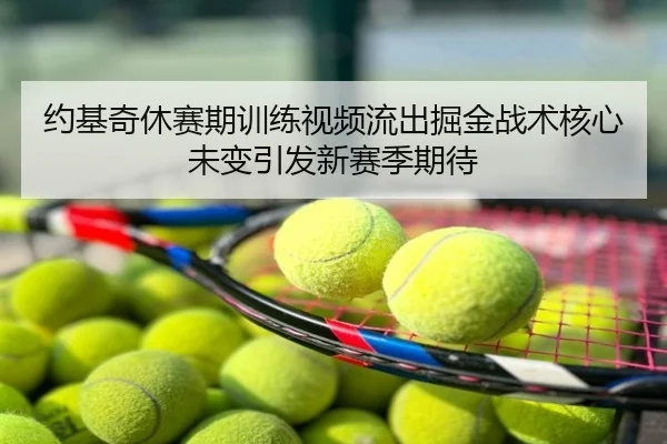 约基奇休赛期训练视频流出掘金战术核心未变引发新赛季期待